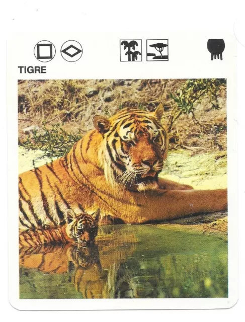 Fiche - Le livre de Paris - 1975 - Tigre