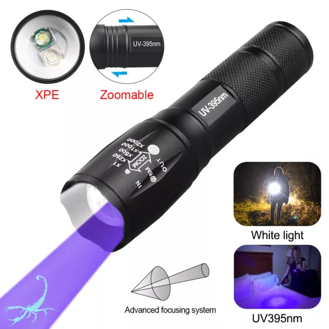 USB UV Ultra Violet+White LED 2IN 1 Flashlight Blacklight 395nm Inspection Torch