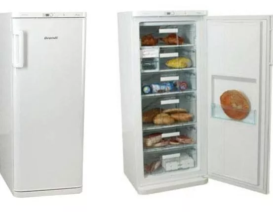 Congélateur armoire BRANDT UC2020 201 litres Classe A+ Tropicalisé élargi