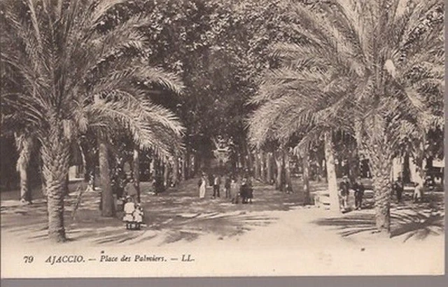 Cpa Corse Ajaccio.place Des Palmiers / Tres Animee .Collection .L.l. N°79. Tbe