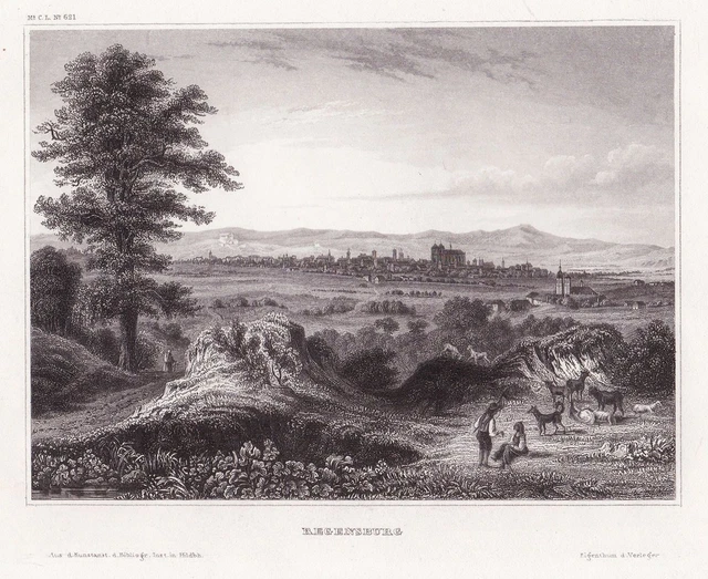 Regensburg Baviera Germania Vista View Incisione Acciaio Engraving Circa 1850