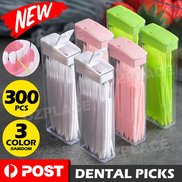 300X DENTAL PICKS toothpicks BrushPicks Brush Tooth Picks Interdental ...