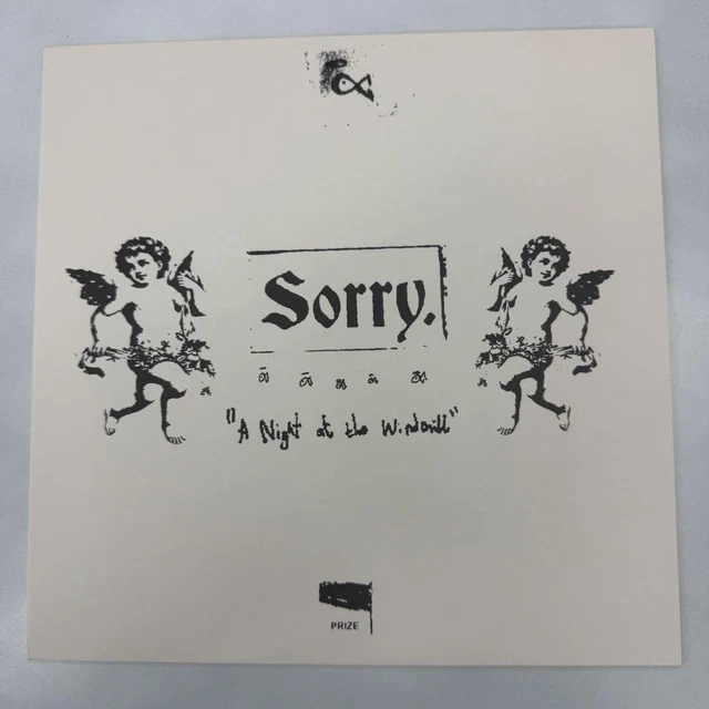 SORRY vinyl big love records レコード domino SORRY VINYL BIG Love Records Record Domino Used EUR 138,33