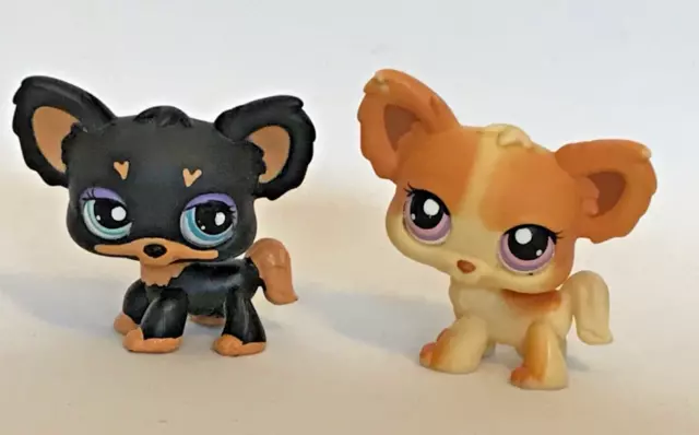 Littlest Pet Shop Chihuahua dog x 2 - #96 #1571