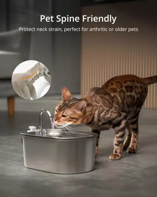 Pet Cat Mate Drinking Fountain C335 Water Bowl for Cats Kittens Small Dogs...