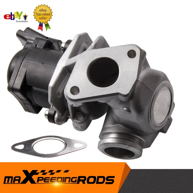 Bisenya Vu00e1lvula EGR Con Junta 161859 1618NR Compatible Con 1.6 HDI C2 C3 C4 C5 Berlingo 206 207 307 308 407 1007 1618.59 1618.NR