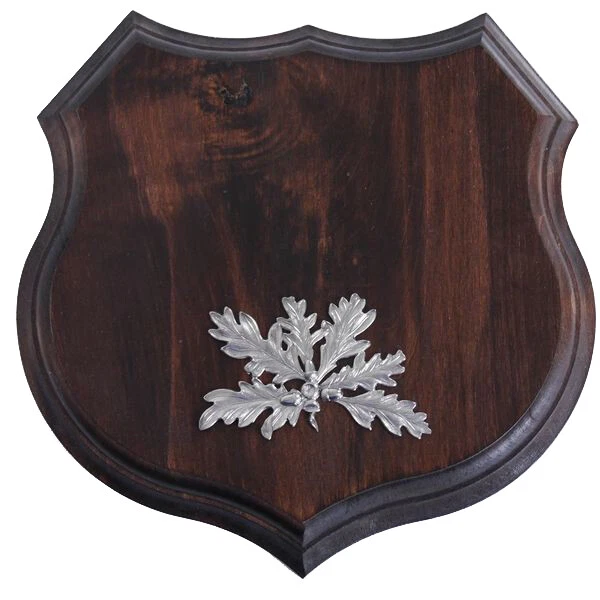 1x Armas Jabalí Escudo de Trofeo Af 19cm, Hoja de Roble Portada Color Plata