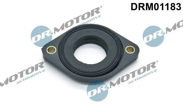 Guarnizione albero a camme Dr.motor Automotive Drm01183 per BMW 96-05