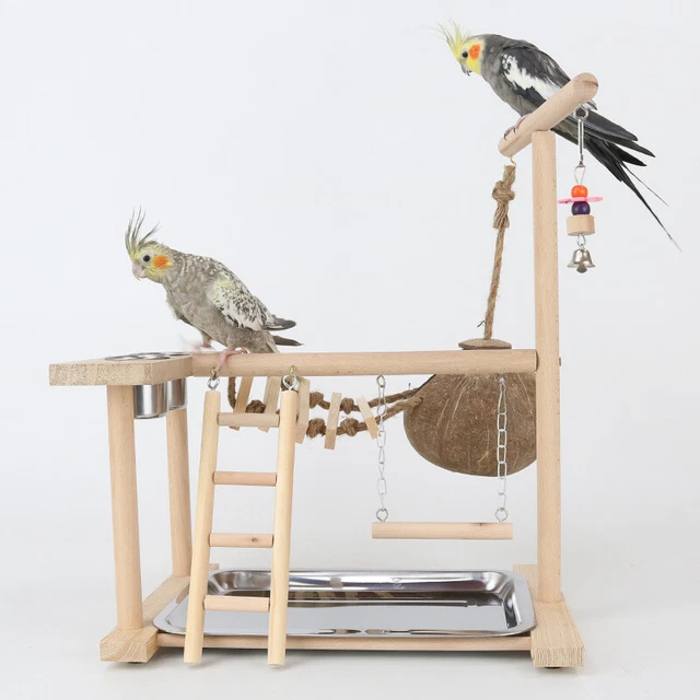 Vogel-Rack-Spielstand, Vogel-Spielplatz Sittich Nymphensittich Papagei 36*25CM