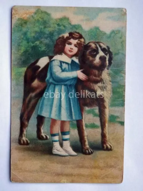 SAN BERNARDO sanbernardo cane dog old postcard vecchia cartolina AK vintage