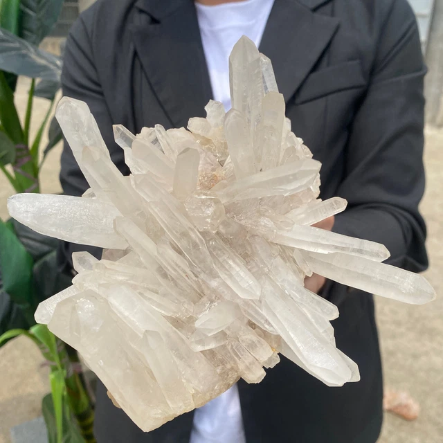 3.1lb Large Natural Clear White Quartz Crystal Cluster Rough Healing Specimen 10