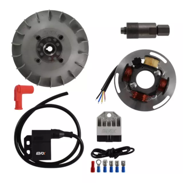 Stator rotor d allumage EVOX pour Auto Neuf