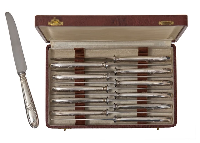 OKA ROSTFREI 12 couteaux fromage à dessert en métal argenté 21 cm lames inox EUR 40,00 - FR