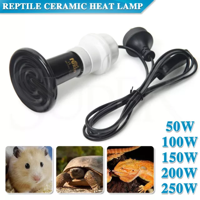 Infrared Ceramic Heat Lamp Bulb With Holder For Reptile Pet Chicken Brooder Home