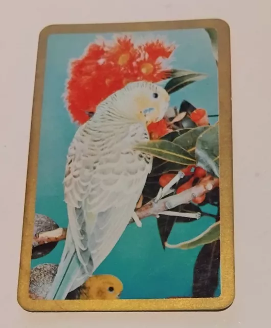 Newsagent Swap Card Playing Card Vintage Blank Back Gold Border Bird.