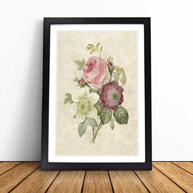 Rosa Anemone Rose Blumen Pierre-Joseph Redoute gerahmt Leinwand Wandkunst Druck