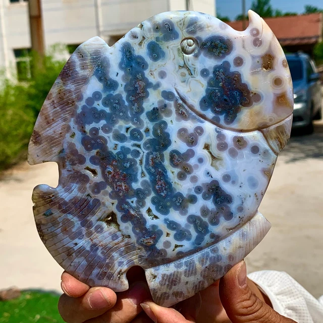 345G  Amazing Natural Ocean Jasper Crystal Carved Fish Jasper Halo Stone 7