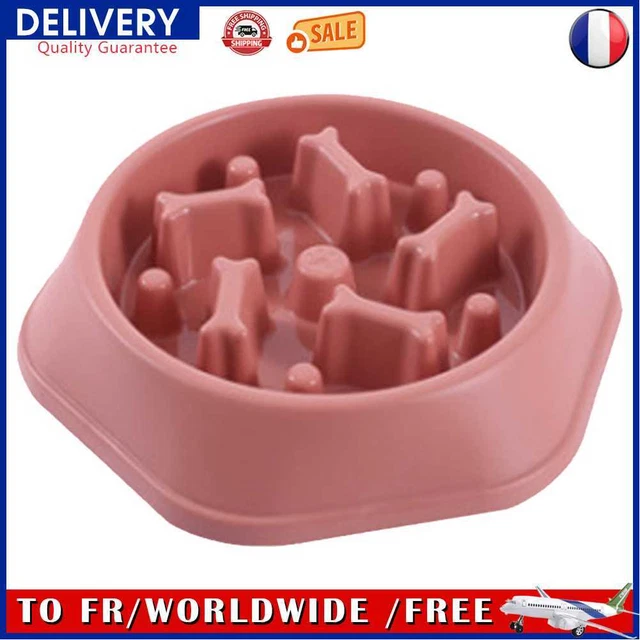 Pet Slow Eating Dish Cat Dog Anti Choking Puppy Feeder Food Bowl (Red)