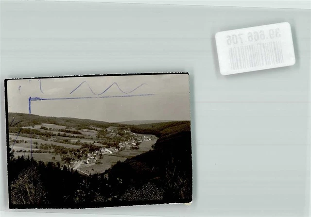 39666706 - 8751 Wildensee Foto Original aus Archiv eines Ansichtskartenverlags