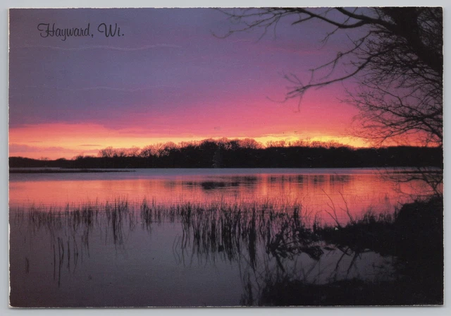 State View~Lake Scene At Sunset Hayward Wisconsin~Continental Postcard