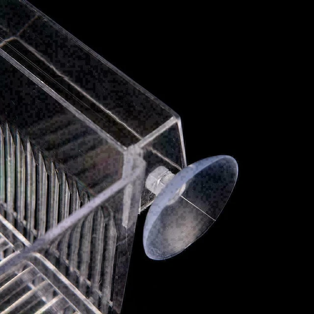 Aquarium Fish Tank Guppy Double Breeding Breeder, Der X6K0 7Y9I Clear U2G2 A9E7 4