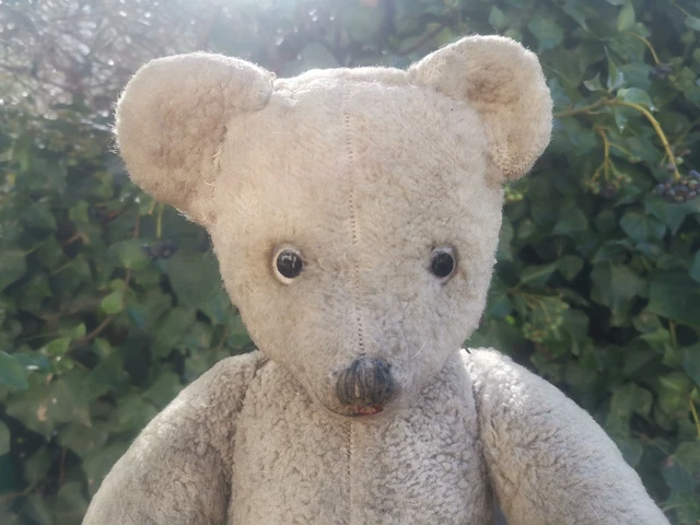 Ours ancien Pintel ! • EUR 70,00 - FR