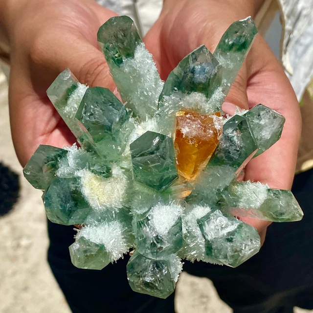 1.2LB New Find Green Phantom Quartz Crystal Cluster Mineral Specimen Healing 15
