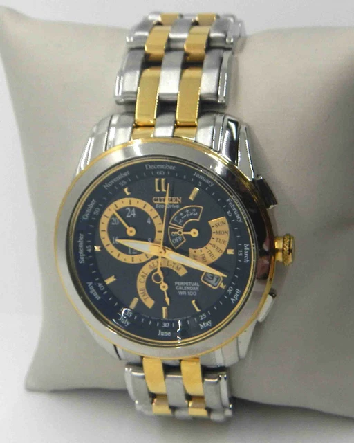 CITIZEN CALIBRE ECODRIVE Perpetual Calendar Men's Watch Bl800453E