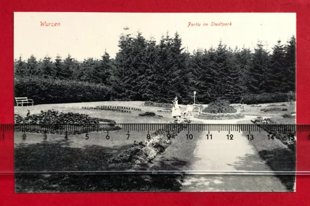 AK WURZEN um 1910 Partie im Stadtpark  ( 86058