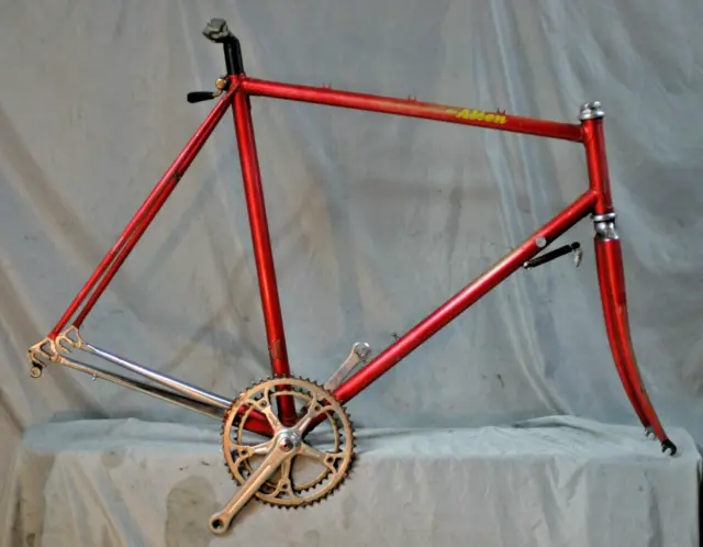 1981 Basso The Alien Road Bike Frameset 59cm Large Steel Campyagnolo USA Shipper