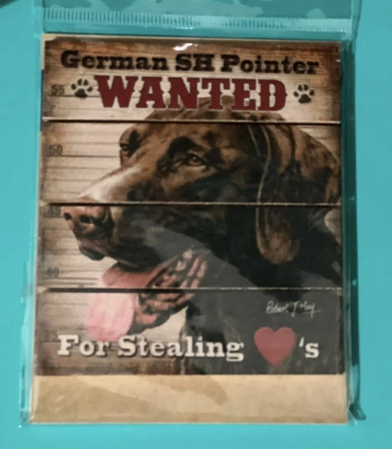 German Shorthaired Pointer magnet