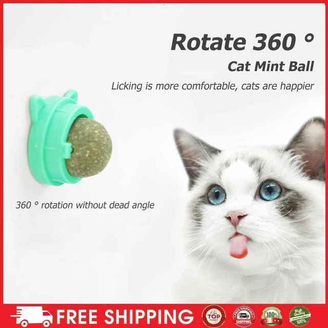Palla girevole per menta gatta, palline naturali per gatti, menta molare-gatta-Sn