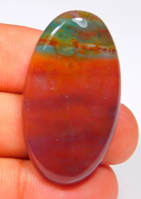 53.CT Magnifique Naturel Multi Rouge Pierre de Sang Jasper Ovale Cabochon Boîte