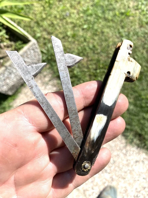 Scarificatore Coltello Salasso Veterinario '800