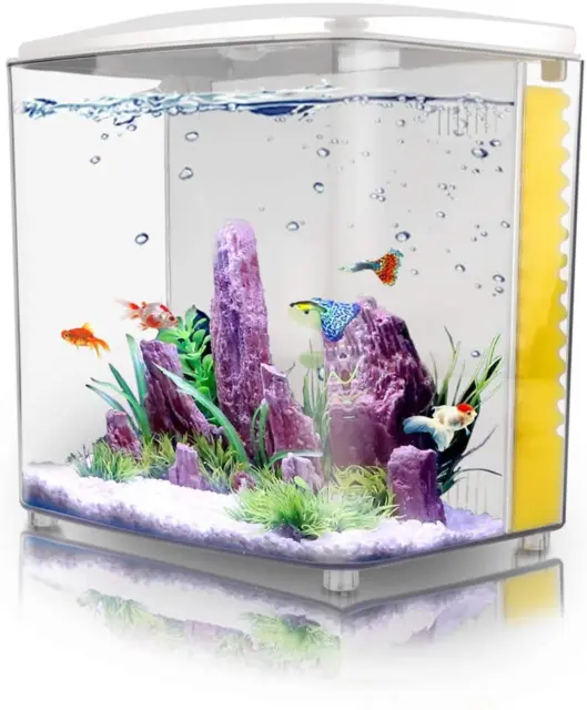1.2-Gal Betta Guppy Aquarium Starter Kit - Square Fish Tank LED Light (WHITE)
