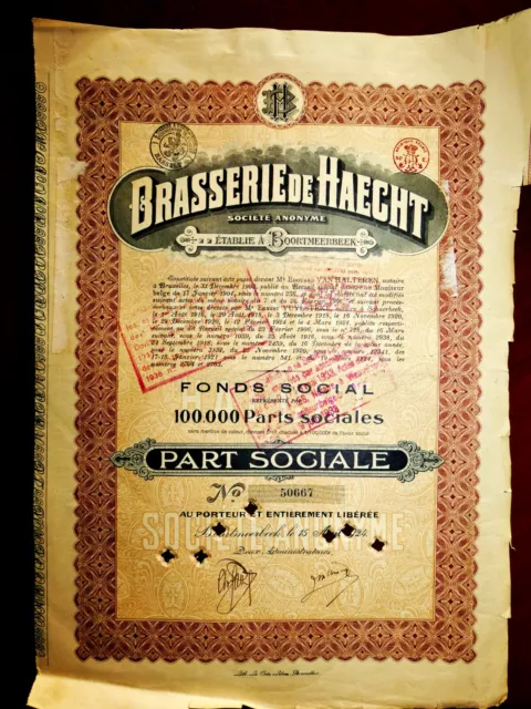 Brasserie de Haecht ,Boortmeerbeek 1924 Belgium,Share certificate G+/VG