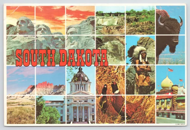 South Dakota Land Of Infinite Variety~Mount Rushmore & Bison~Continental PC