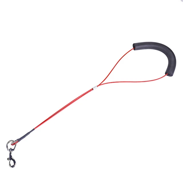 Cane animale domestico gatto animale imbracatura loop lock clip cura della corda ritenuta