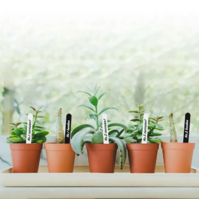 100pcs White Plant Labels Sticks Blanks Markers Garden Markers  Vegetables