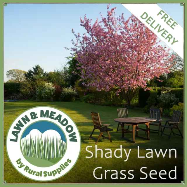 Shady Area Grass Seed - TOUGH QUALITY LAWN SEED FOR DARK & SHADY AREAS