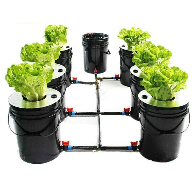 HYDROPONIC DEEP WATER Culture 6 Plant Bucket Grow System Kit Complete W