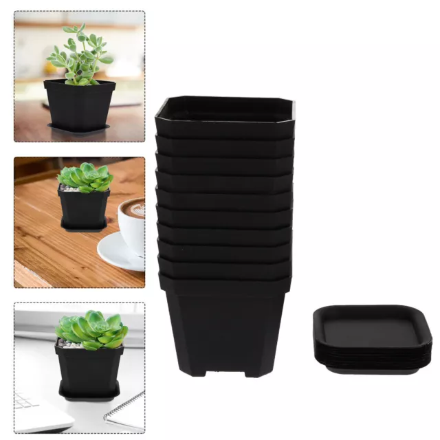 10 Pcs Pot Succulent Planting Pots for Indoor Plants 10cm