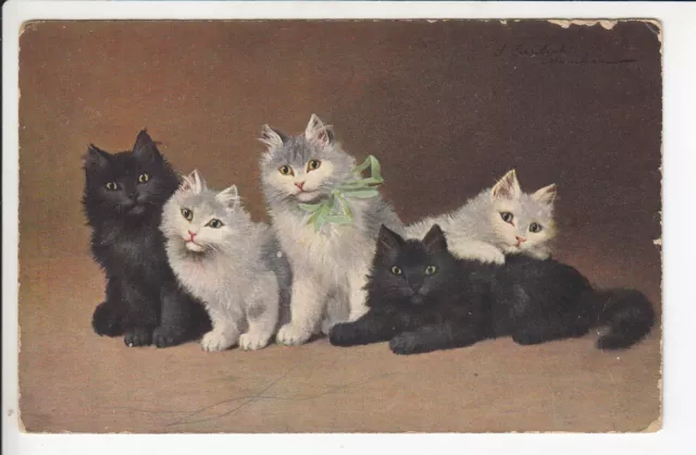 Cpa  Animal Fantaisie - Chat Cat Katze Groupe Gris Noir Blanc Vers 1907 ~D39