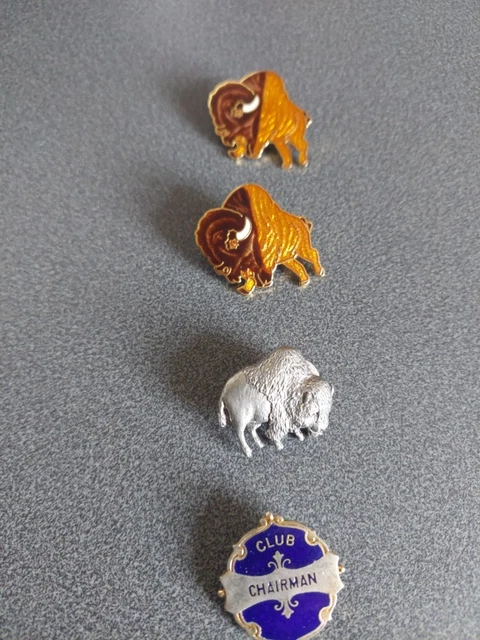 Insigne Rare RAOB (Royal Antediluvian Order Of Buffaloes) Avec Chaîne Yarborough - Occasion