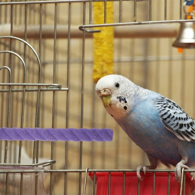 Papagei Holz Vogel stehen Sittichkäfig-Sitzstange Vogelständer