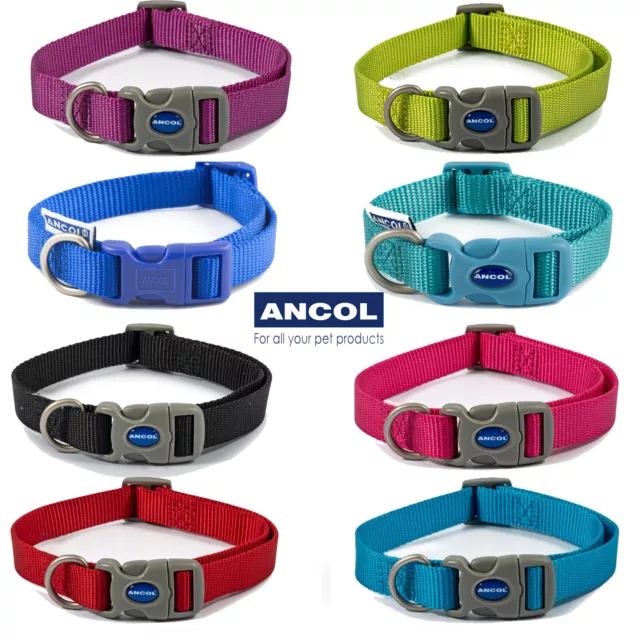 Ancol Dog Collar Adjustable Nylon Clip Red Black Blue Pink Purple Teal Puppy