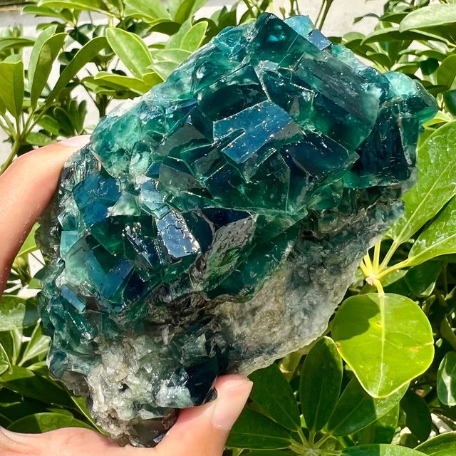 1.24LB NATURAL Green FLUORITE Quartz Crystal Cluster Mineral Specimen.
