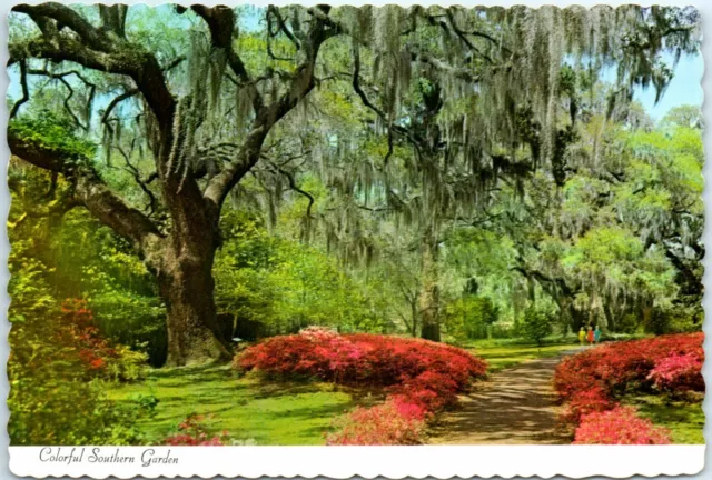 Postcard - Colorful Southern Garden
