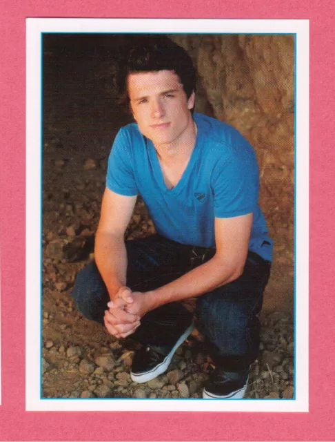 Josh Hutcherson Hunger Games Movie Film Pop Star Italian Sticker #34