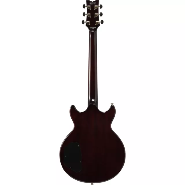 E-Gitarre Ibanez Standard AR520HFM-LBB E Gitarre NEU 2